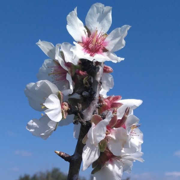 Mallorca February