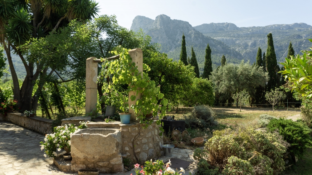 Country House, Finca in Soller available on Nano Mundo today; image 15